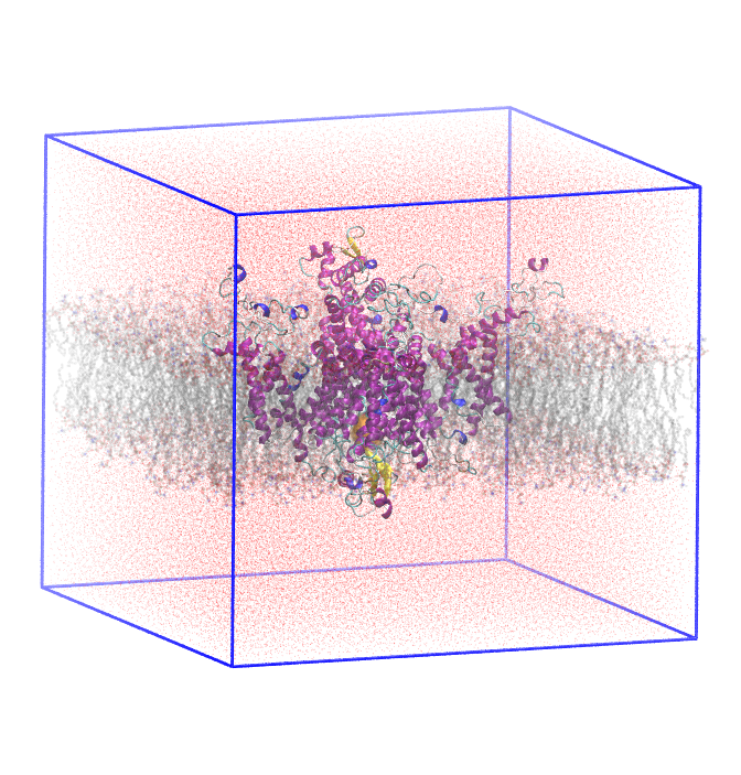 Simulation cell of an membrane-embedded NaV channel
